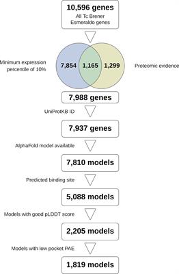 The Use of AlphaFold for In Silico Exploration of Drug Targets in the Parasite Trypanosoma cruzi